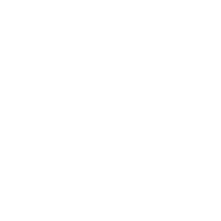 Branëu Logo