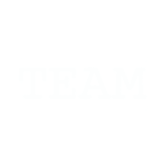 TEAM Services Logo